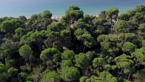 Aerial:-Panoramic-view-of-beautiful-sandy-beach-with-turquoise-crystal-clear-water-with-yachts-and-sailboats-floating-on-the-coast