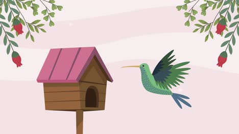 hummingbird with bird house spring scene