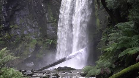 close up of waterfall gushing and flowing onto tree branches
