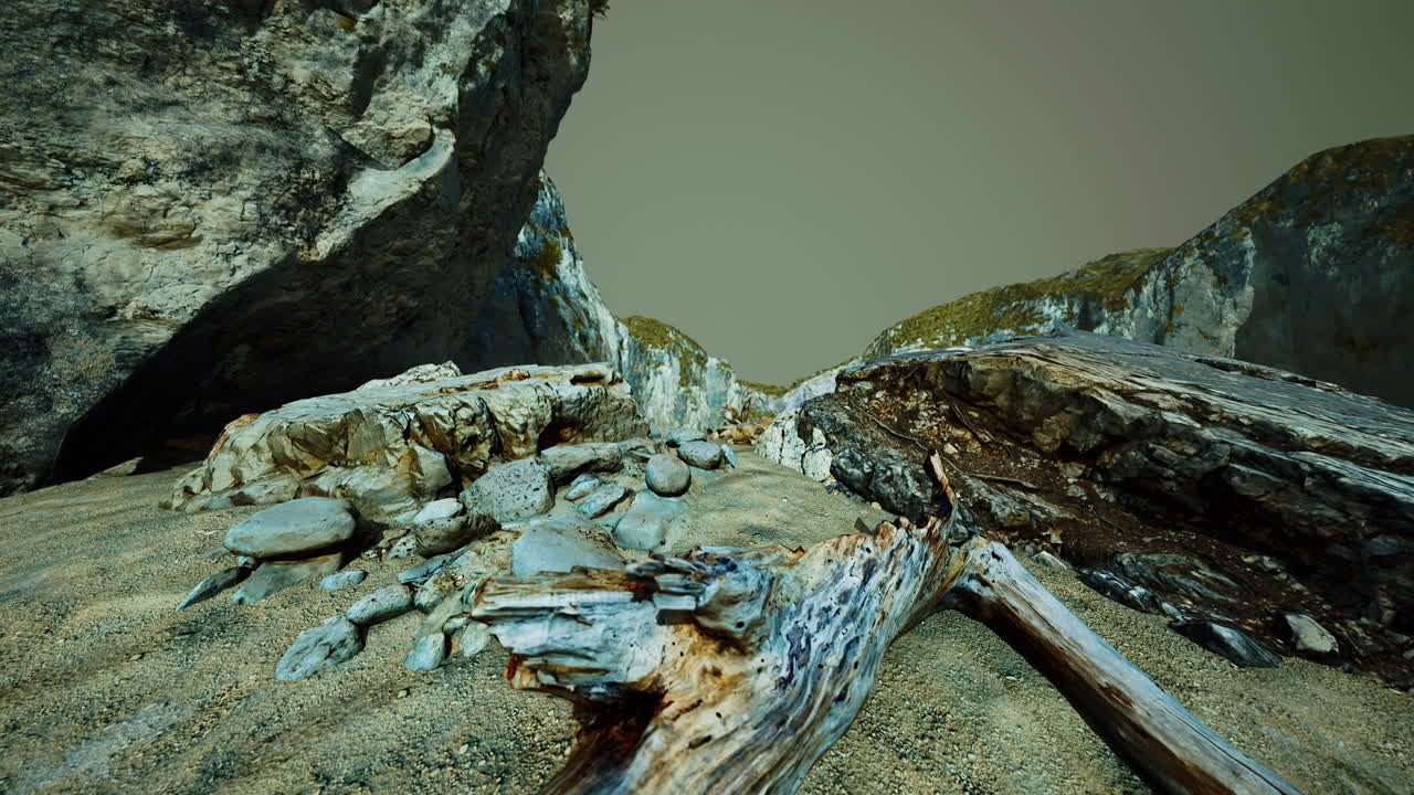 hiperlapso de playa rocosa con árboles muertos