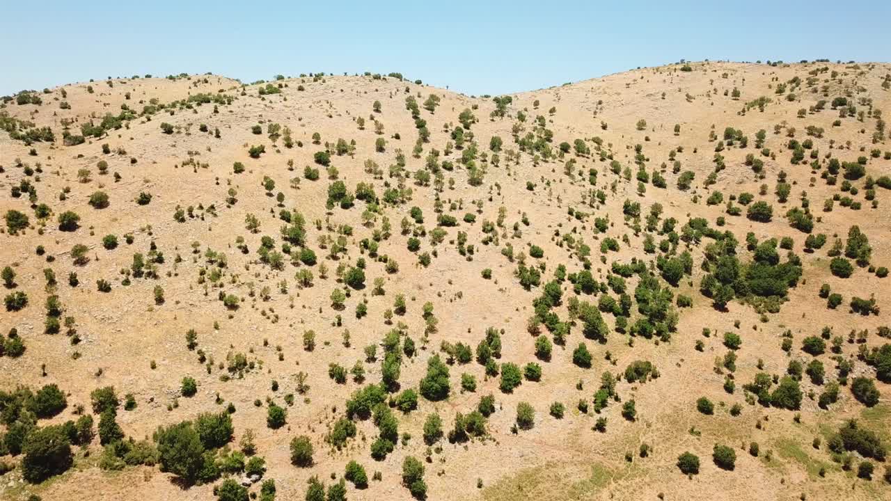 гора гермон с воздуха