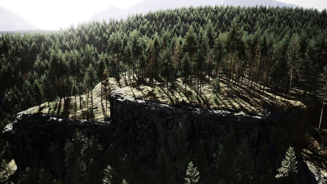 Forest landscape with elevated rocky outcrop during daylight hours