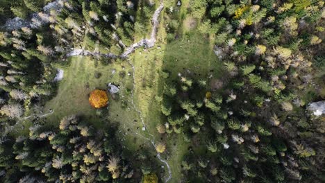 dron w lesie w val di mello, foliage, włochy