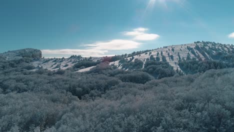 snowy mountain forest landscape