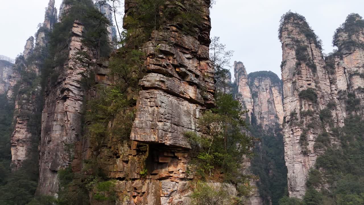A stunning drone perspective captures Zhangjiajie’s towering rock pillars, emphasizing their grandeur against a lush forest backdrop in this iconic UNESCO World Heritage site