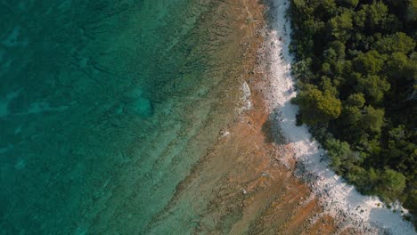 Cinematic-bird-view-Croatia-Istria-coast-with-clear-blue-seaside-water-at-a-natural-beach-coast-bay-in-forest-and-pine-trees