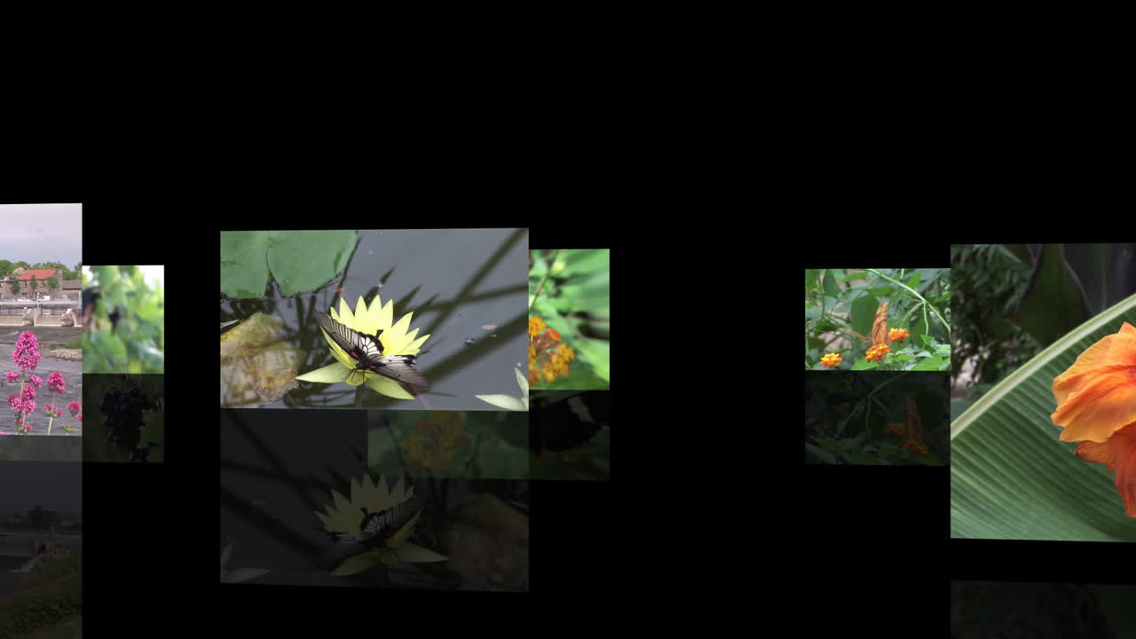 serie de la naturaleza sin costuras