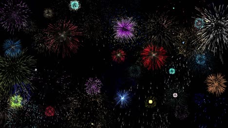 Fireworks burst on deep black background