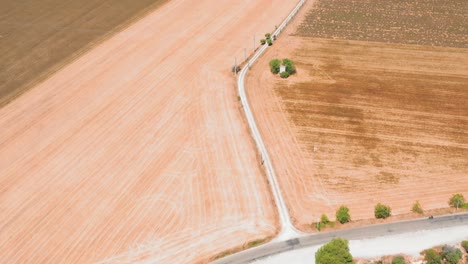vista aérea de las tierras de cultivo francesas en provenza
