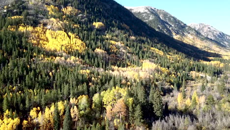 álamo-Temblón-En-El-Otoño-Montañas-Rocosas-Drone