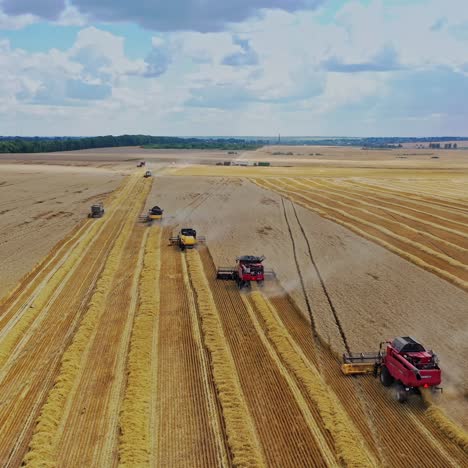 combines on harvest field