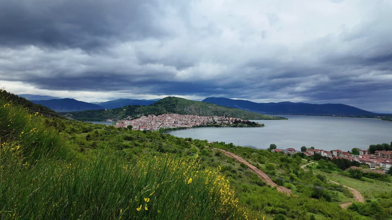 호수 풍경과 자연, 그리스 카스토리아의 노란 꽃, 언덕 꼭대기