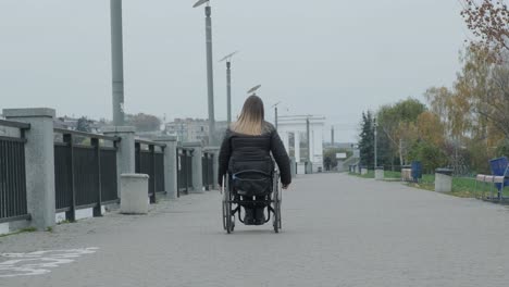 person in a wheelchair walking outside