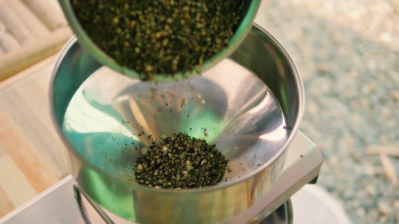 las semillas se vierten en una máquina de prensado de aceite