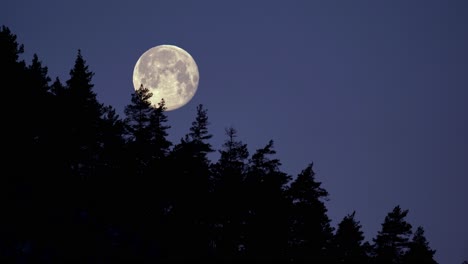 Timelapse-of-full-moon-moving-through-clear-night-sky-behind-mountain-tree-line