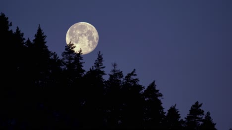 lapso de tiempo de luna llena moviéndose a través del cielo nocturno claro detrás de la línea de árboles de montaña