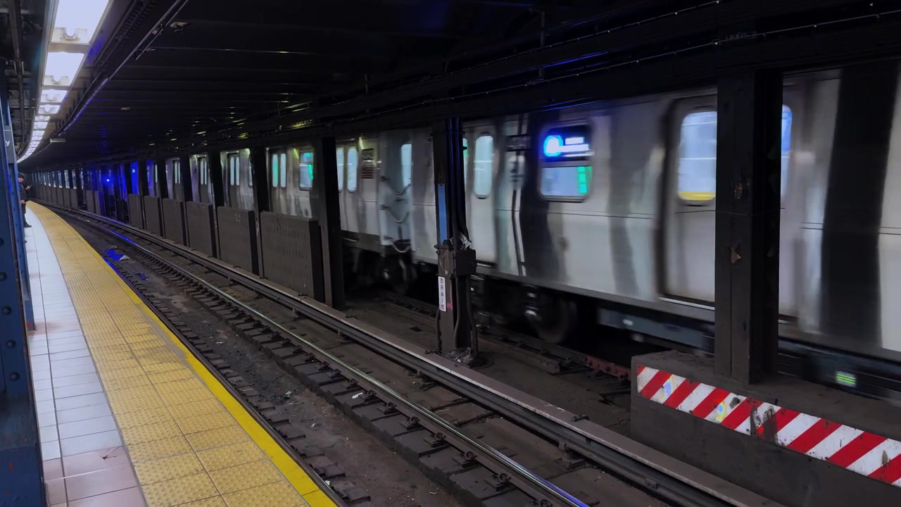 地下駅のホームを電車が通過する際、地下鉄の線路沿いをちょろちょろ走るネズミ。