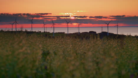 wind turbines farm producing green energy in front of fire sky sunset