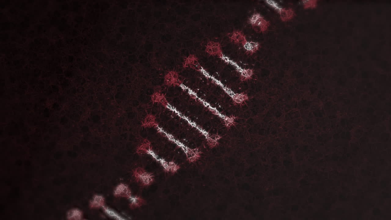 animación digital de la estructura del adn girando contra un fondo negro
