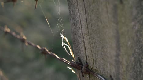 barbed wire and wooden fence close up tilting shot