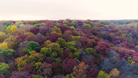 Reverse-dolly-aerial-shot-of-Fall-colors-with-a-sunrise-reveal