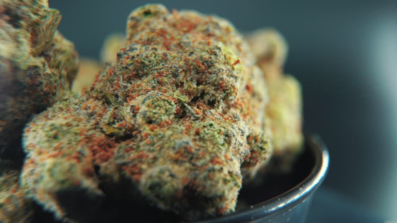 대마초 식물, 하이브리드 품종, 인디카와 사티바, 마리화나 꽃, 360 회전 스탠드, 검은 반 ⁇ 이는 울음소리, 슬로우 모션, 4k 비디오, 스튜디오 조명