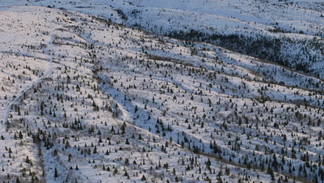 panoramic aerial view of fish lake at golden hour. yukon’s snow-covered wilderness glows under sunset skies, creating a serene and frosty landscape.