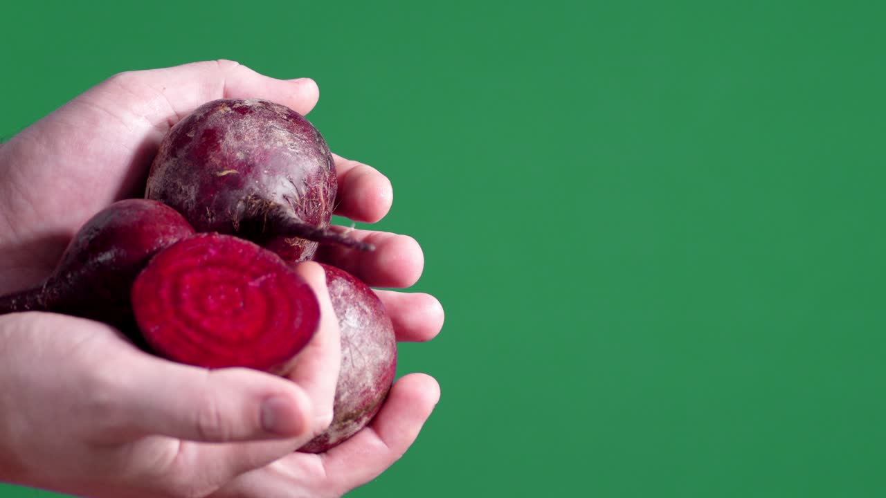 remolachas frescas en las manos.