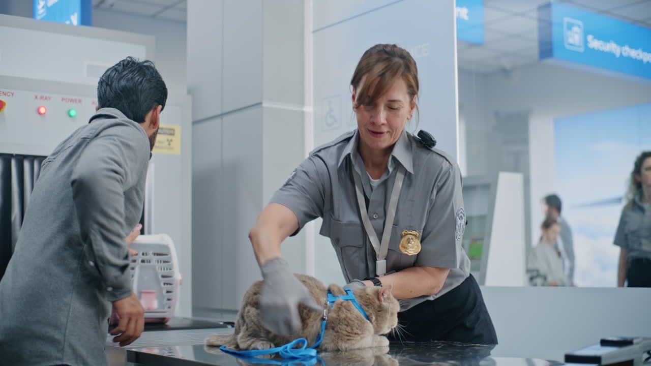 Airport Pet Inspection