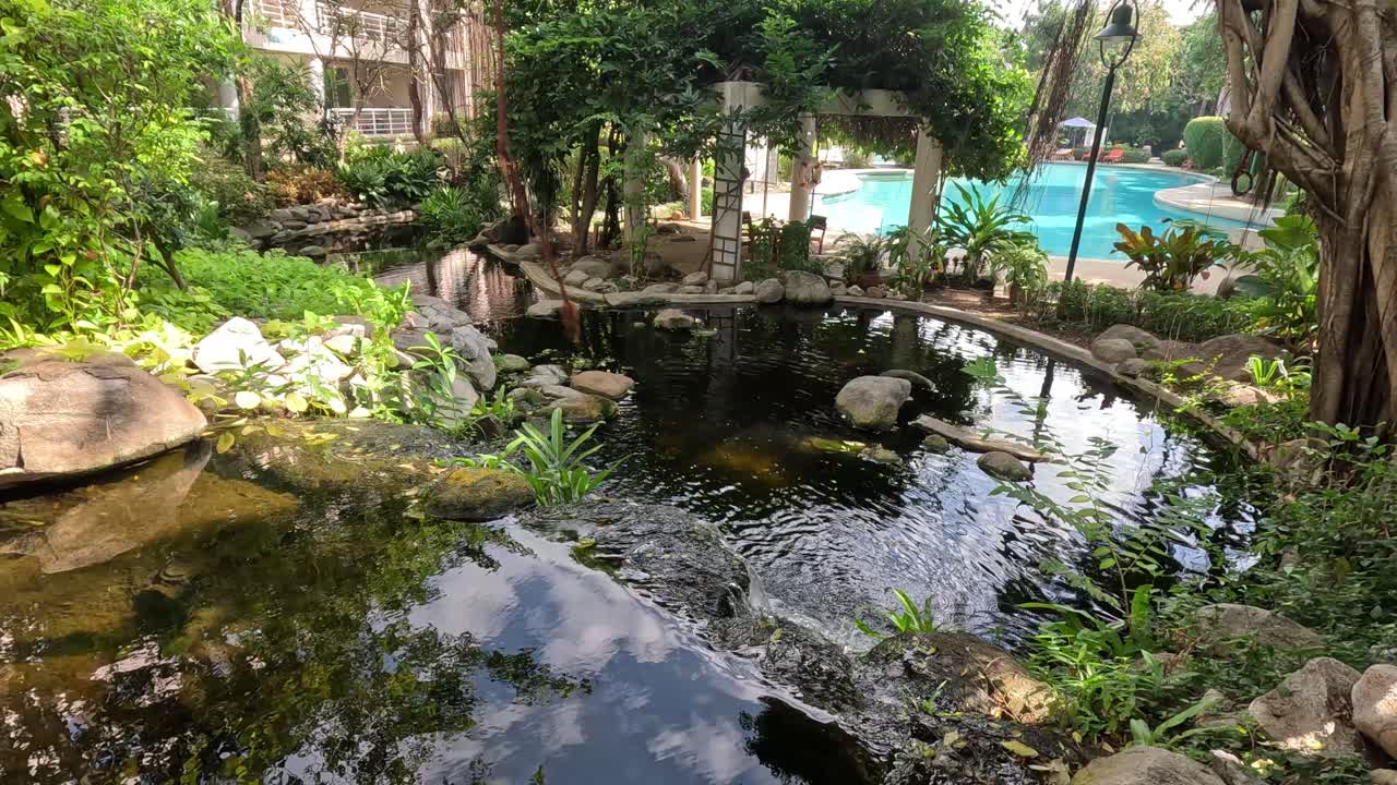 활기찬 잎자루로 둘러싸인 평화로운 물의 특징