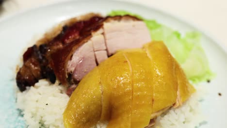 delicious roast duck with rice and cabbage