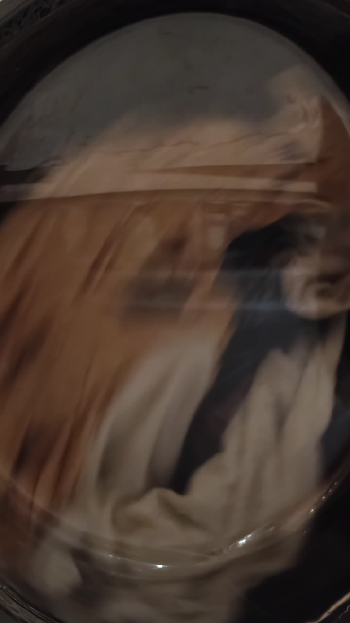 세탁기 또는 건조기 내부