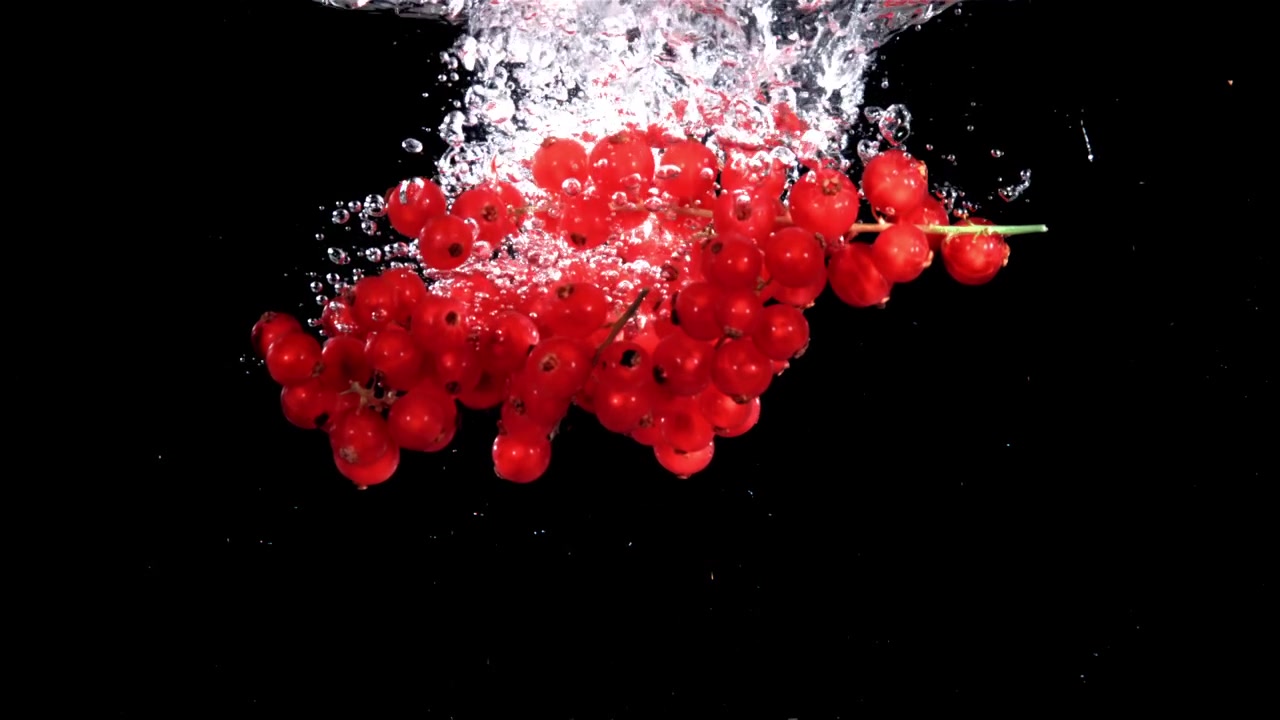 Fresh Red Currants Dropping into Water with Splashes and Bubbles
