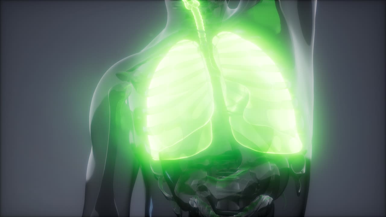 인간의 폐 방사선 검사