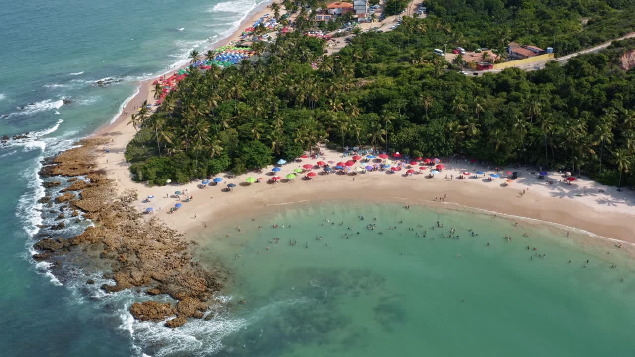 Wide aerial drone bird's eye lowering dolly in shot of the famous tropical Coqueirinhos beach in Paraiba, Brazil with colorful beach umbrellas for tourists, palm trees, golden sand and turquoise water