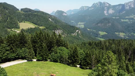 Cable-car-on-a-mountain-in-Austria-with-the-beautiful-alps-in-the-background