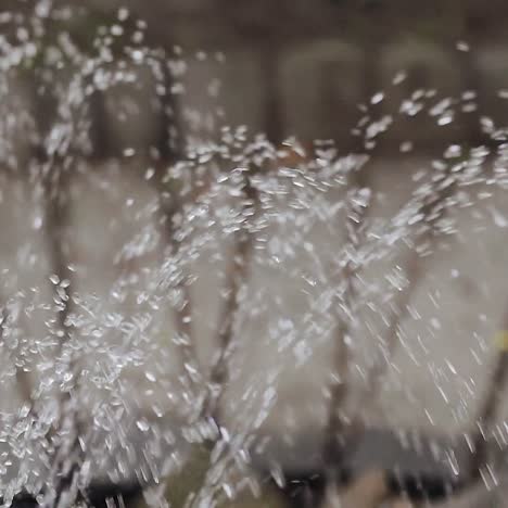 closeup fountain. motion of fountain. fountain in the garden.