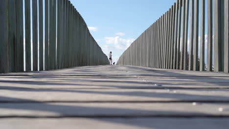 person walking dog on wooden boardwalk with ocean view
