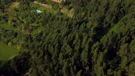 hotel al borde de un descenso empinado en un bosque