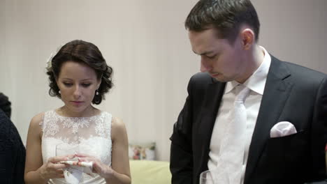 bride and groom toasting and talking