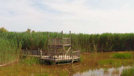 plataforma de observación de madera en los pantanos de mirador con juncos en segundo plano.