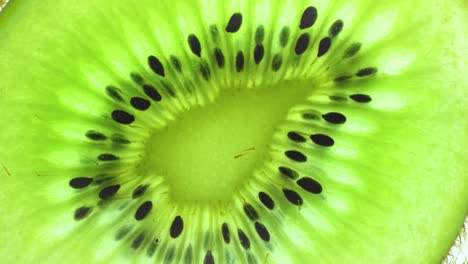 vista superior girar una rebanada transparente de fruta de kiwi sobre un fondo blanco, cerrar el kiwi fresco cortado en rodajas sobre un fondo branco y girar lentamente.