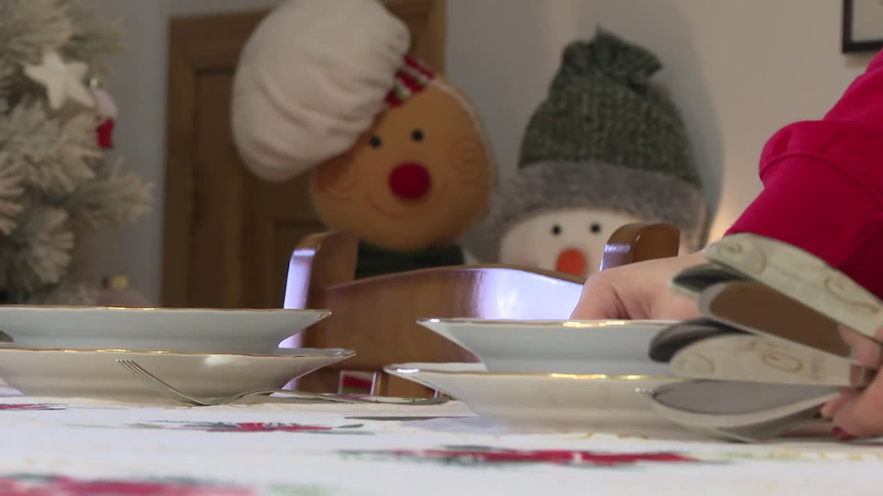 Preparing a Christmas Dinner