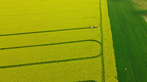 aerial farmer on tractor spraying pesticides over yellow canola field