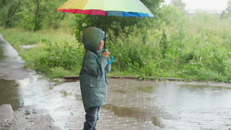 child with umbrella stands in rainy park little boy in hooded jacket hides under colorful parasol