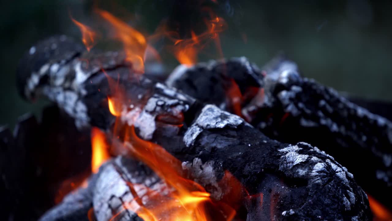 Coals of campfire in the forest. Piece of firewood in open campfire