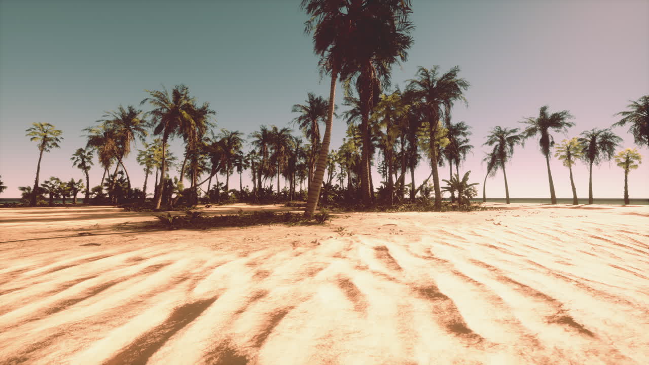 열대 해변 파라다이스