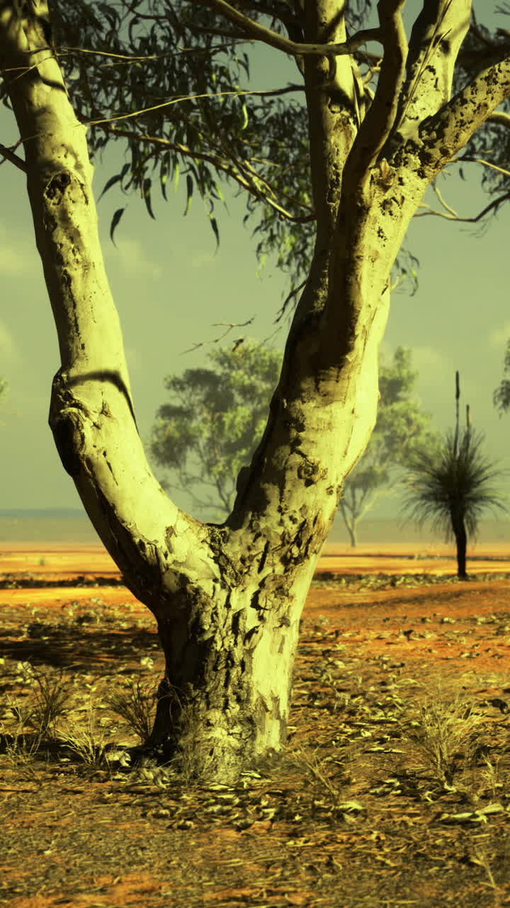 Expansive outback landscape under a vivid sky at golden hour in australia