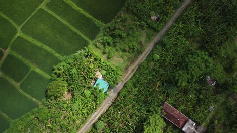 Langsame-Luftrotation-Einer-Draufsicht-über-Die-Reisfelder,-Die-Die-Strukturierte-Landschaft-Balis,-Indonesien,-Zeigt