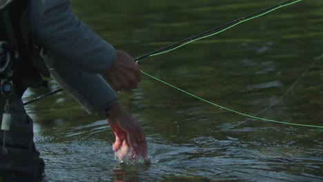 slow motion of fly fisherman taking hook out of trouts mouth then releasing it gently back into a river